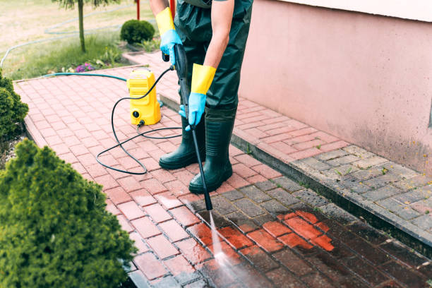 Best Graffiti Removal  in Fridley, MN