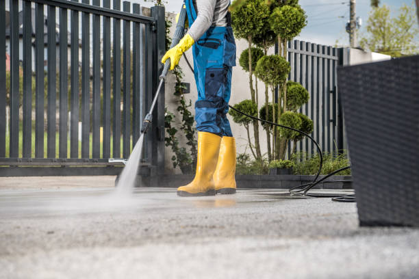 Boat and Dock Cleaning in Fridley, MN